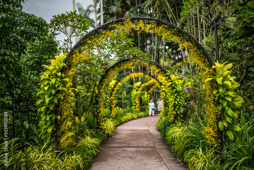 walkway in the botanic garden