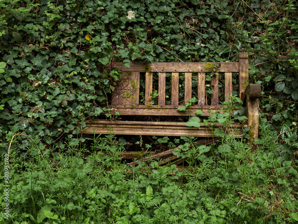 Naklejka premium With family much more mobile it is often hard to maintain memorials like benches which get overgrown and neglected, covered in ivy and weeds