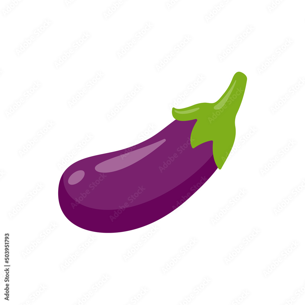 Eggplant. Ingredients for healthy cooking.