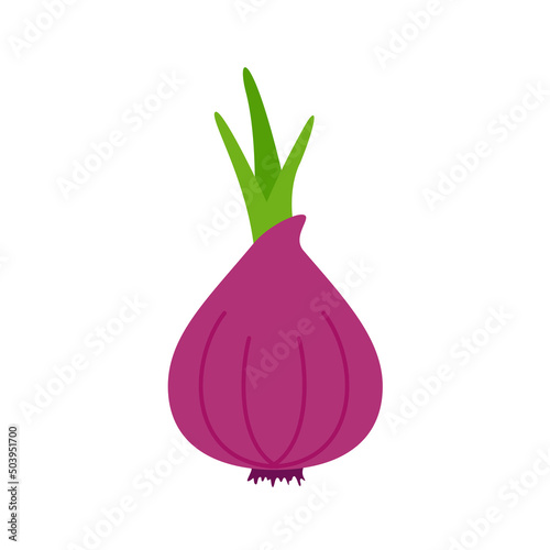 Onion vector. raw materials for cooking