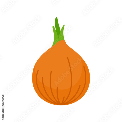 Onion vector. raw materials for cooking