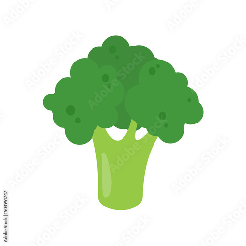 Green broccoli. healthy vegetables for kids