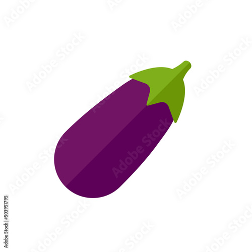 Eggplant. Ingredients for healthy cooking.