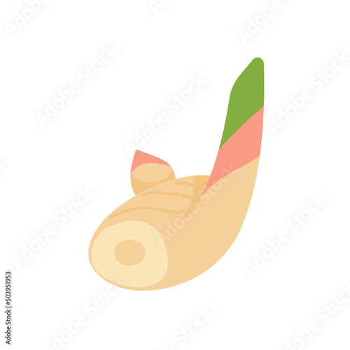 Galangal. Herbs to nourish the body for cooking.