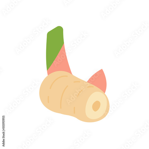 Galangal. Herbs to nourish the body for cooking.