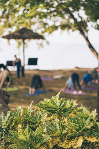 yoga