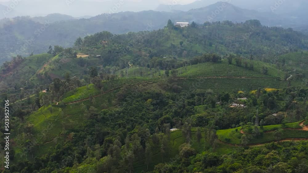Tea plantations in Sri Lanka. Mountain landscape with tea estate. Tea plantations in Sri Lanka. Mountain landscape with tea estate.