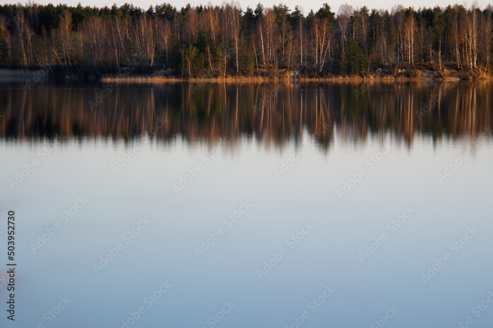 Row of trees forest and sky above with big reflection and empty space on water, top composition Row of trees forest and sky above with big reflection and empty space on water, top composition