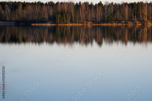 Row of trees forest and sky above with big reflection and empty space on water, top composition