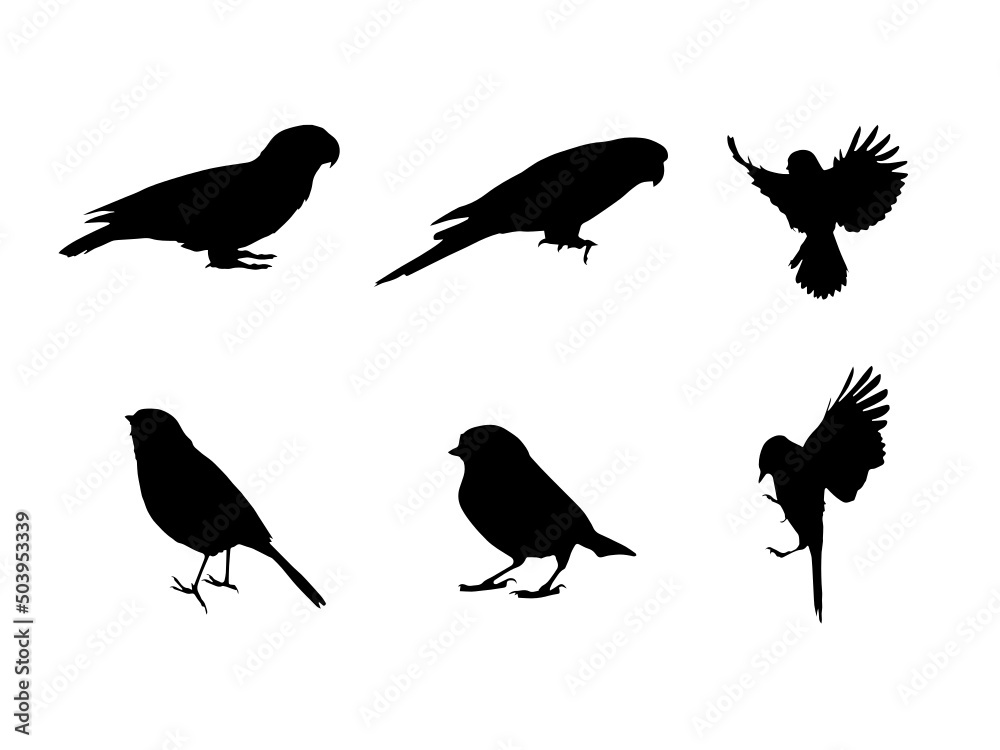 Obraz premium Vector Collection of Bird Silhouettes..Bullfinch Bird Vector Nature Free.Image Download Free Vecto.Vector bird icon.svg