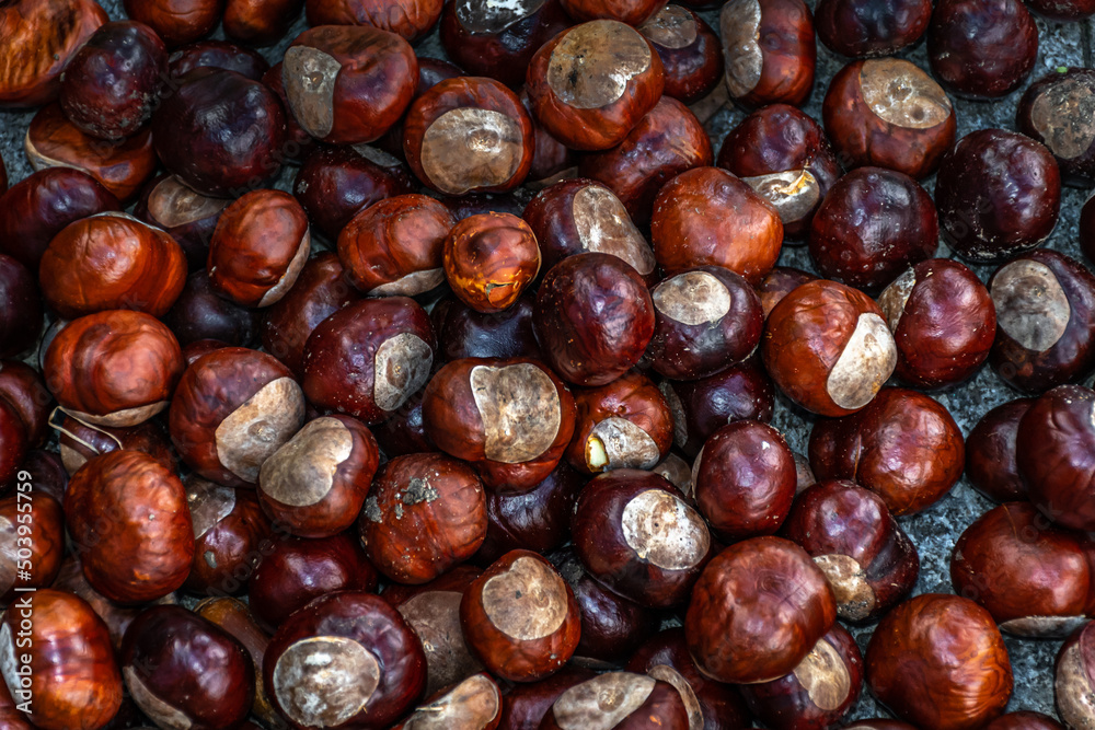 Obraz premium Top view heap of chestnuts. Pile of ripe chestnuts for food background.