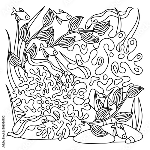 Exotic underwater plants coloring page for adults. Marine flora and fauna. Vector illustration