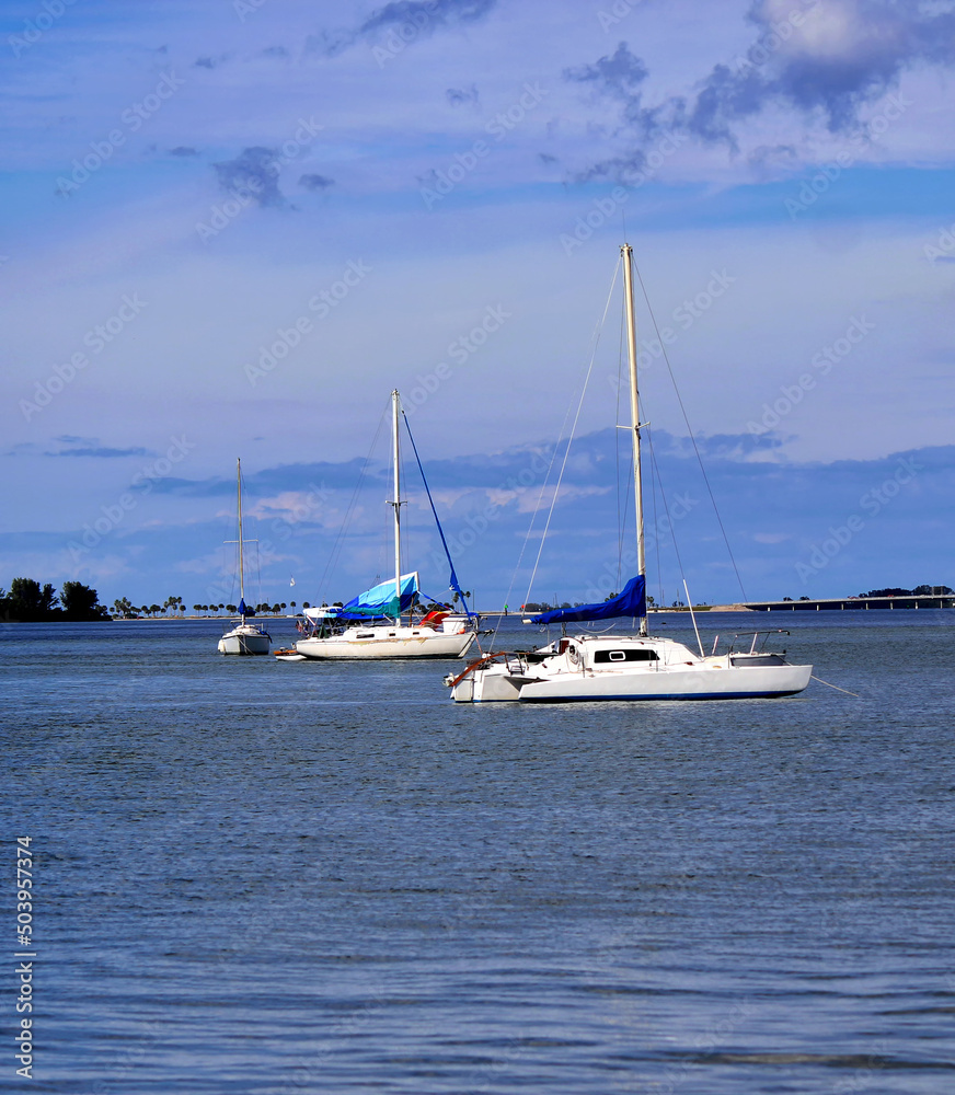 Sailing boats moored in front of Dunedin, Florida Sailing boats moored in front of Dunedin, Florida