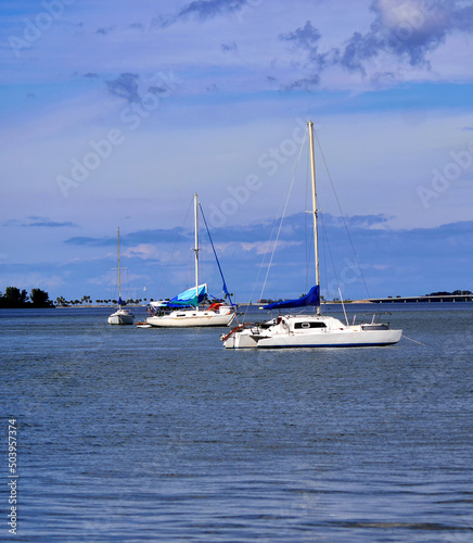 Sailing boats moored in front of Dunedin, Florida