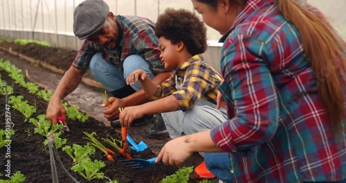 African family planting garden together in the spring in nursery. Family planting tree and flowers in a nursery at backyard.