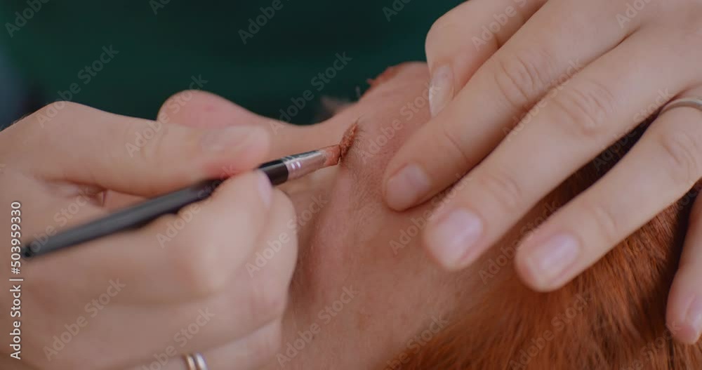 Dying woman's eyebrows with ginger color in professional salon, close up view Dying woman's eyebrows with ginger color in professional salon, close up view