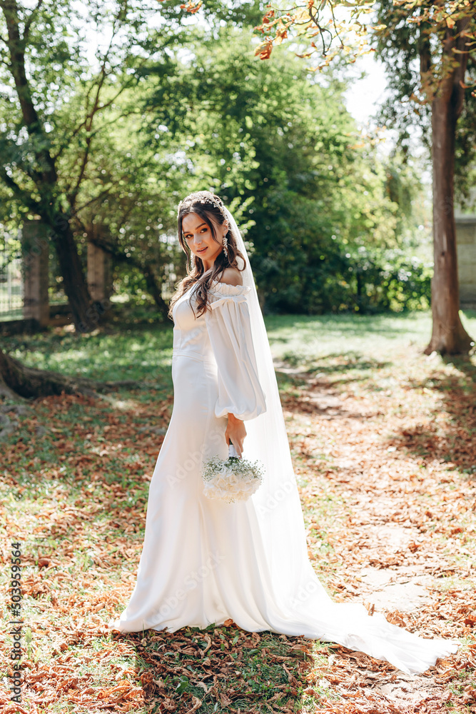 young beautiful bride in a white dress on her wedding day enjoys the moment and poses for a photo young beautiful bride in a white dress on her wedding day enjoys the moment and poses for a photo