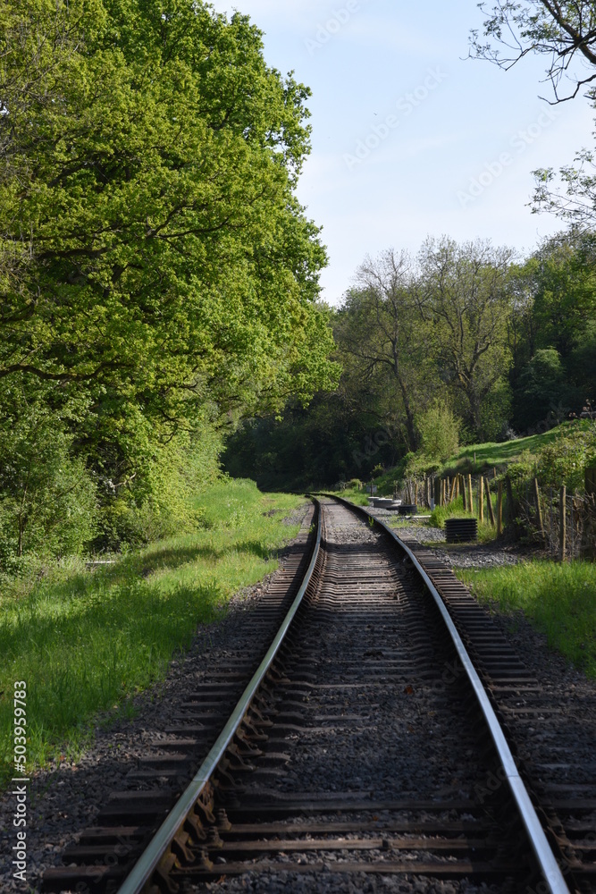 old railway track going though the forest old railway track going though the forest