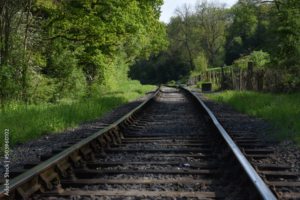 old railway track going though the forest