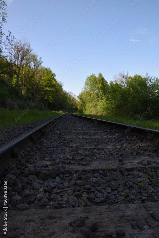Fototapeta premium old railway track going though the forest
