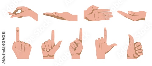 Hand gestures, take or give, thumb up, vector
