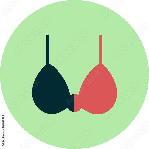 Brassiere Icon