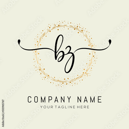 initial BZ handwriting logo design vector template illustration. abstract handwriting letter BZ logo lesign. photo