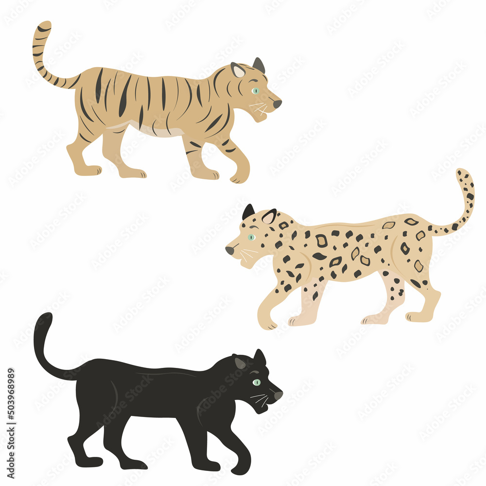set of various wild cats
