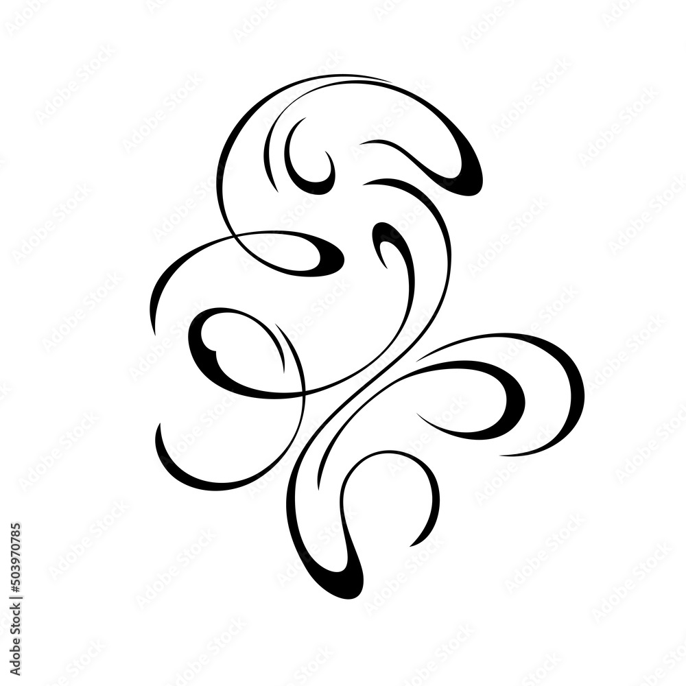 decorative abstract element with curved smooth lines. graphic decor decorative abstract element with curved smooth lines. graphic decor