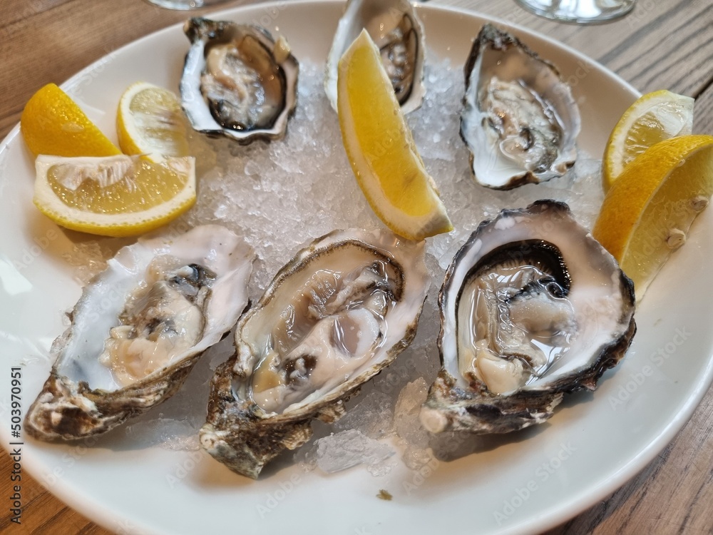 testing of oysters seafood with lemon on ice cubes, outside restaurant with a river view, testing of oysters seafood with lemon on ice cubes, outside restaurant with a river view,