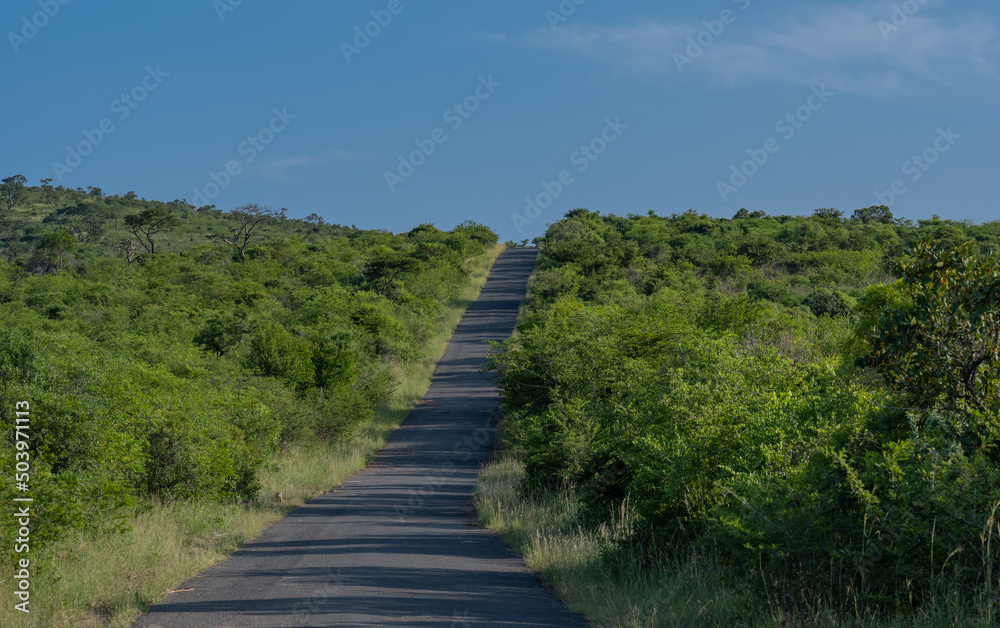 Naturreservat Hluhluwe Imfolozi Park Südafrika Naturreservat Hluhluwe Imfolozi Park Südafrika