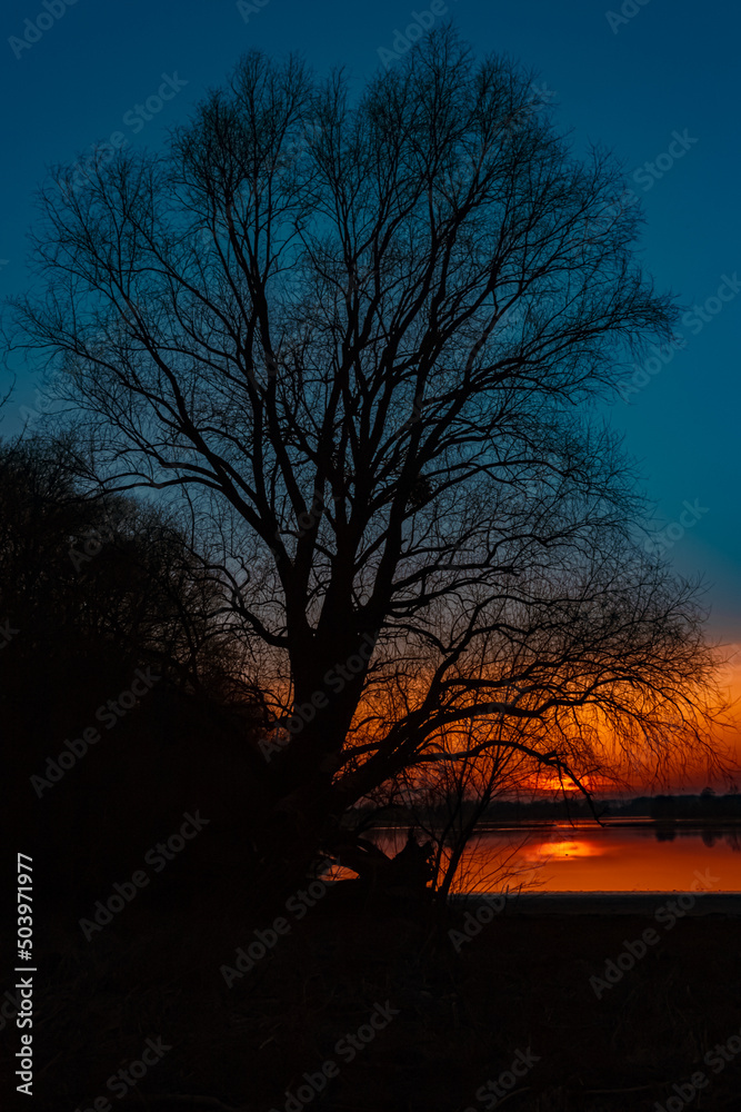 Beautiful sunset with reflections near Mettenufer, Danube, Bavaria, Germany Beautiful sunset with reflections near Mettenufer, Danube, Bavaria, Germany