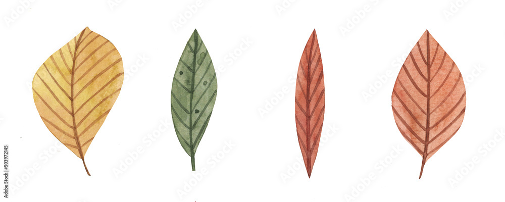 Watercolor hand drawn set with leaves, berries and flowers. Botanical and floral illustration for design, postcards, menus
