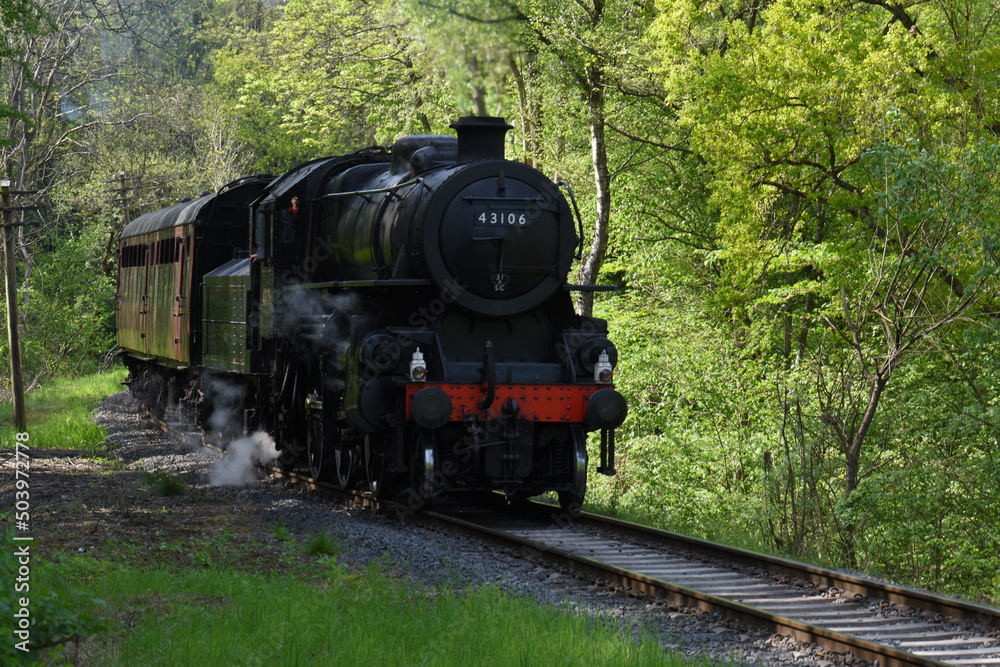 an Ivatt class 4 steam locomotive traveling through an English forest an Ivatt class 4 steam locomotive traveling through an English forest