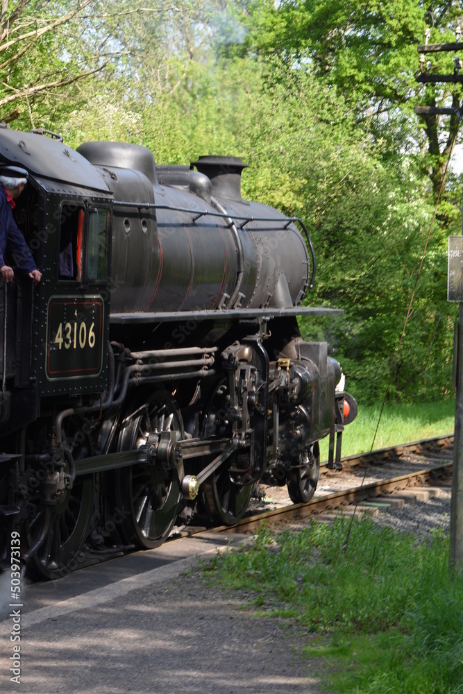 Naklejka premium an Ivatt class 4 steam locomotive traveling through an English forest