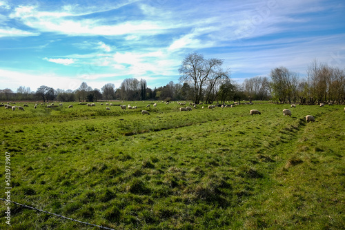 A peaceful park in Salisbury