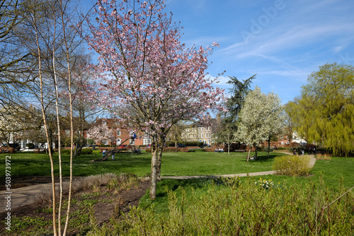 A peaceful view of Salisbury in the UK photo