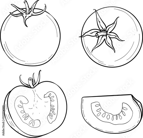 Hand-drawn  tomato. A set of sketches with sliced tomatoes, a slice of tomato The vector illustration is isolated on a white background.