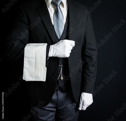 Portrait of Butler in Dark Suit Standing Elegantly. Concept of Service Industry and Professional Hospitality.