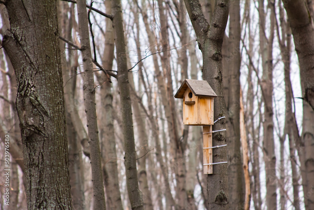birdhouse on a tree against the background of tree trunks birdhouse on a tree against the background of tree trunks