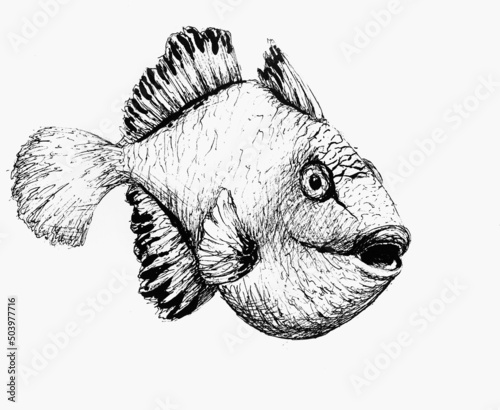 Wallpaper Mural Ink illustration of a fish Torontodigital.ca