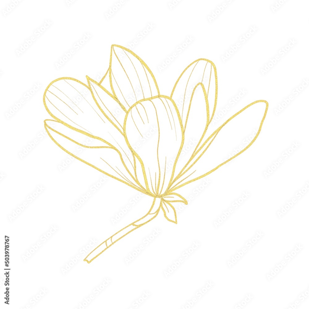 Obraz premium Gold line Illustration of magnolia flower