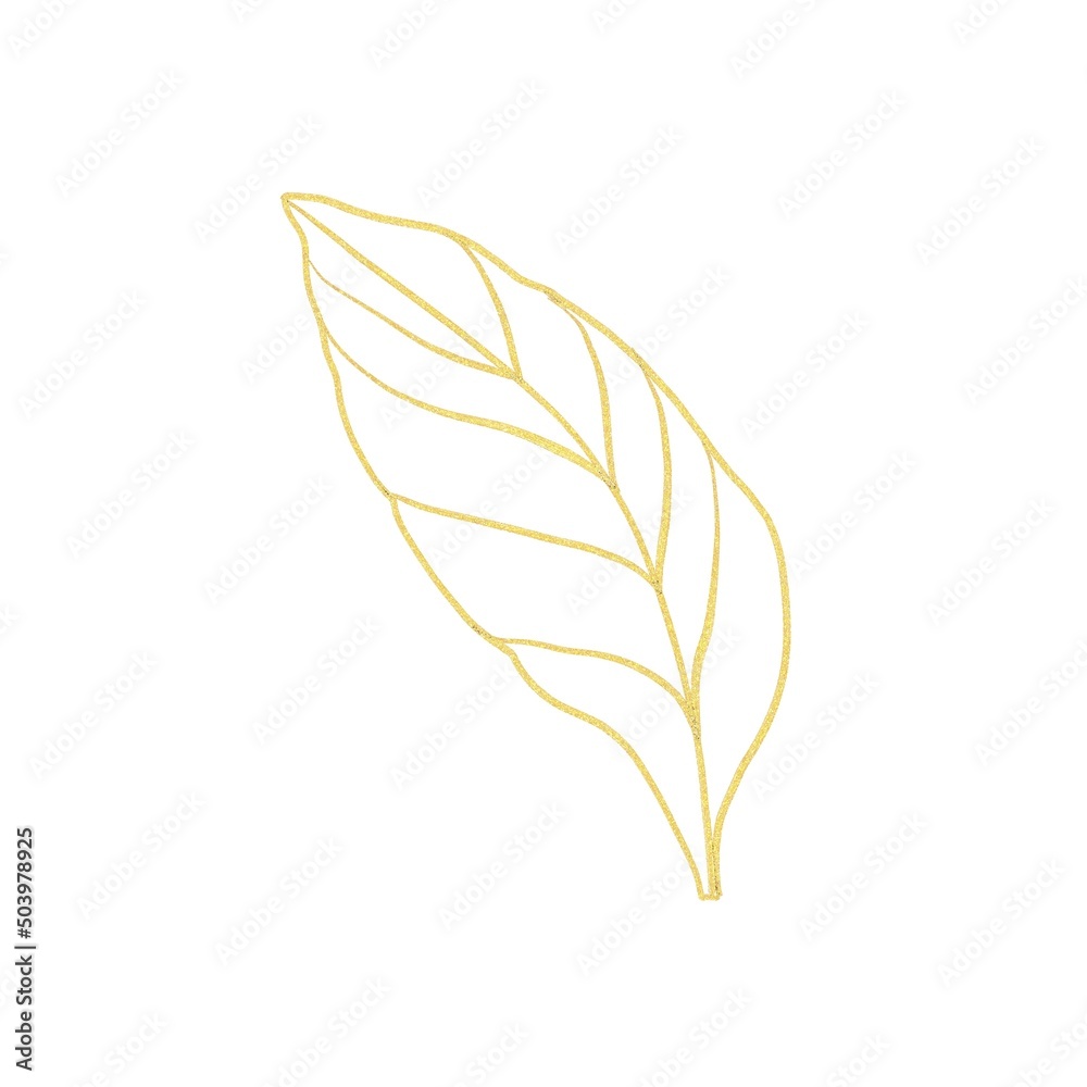 leaf isolated on white leaf isolated on white