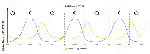 Sleep wake cycle