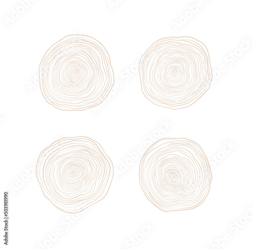 Linear hand drawn illustrations - annual rings. Stump Rings. Wooden logo examples. Natural material. Design elements. Perfect for interior designers, furniture, eco, factory photo