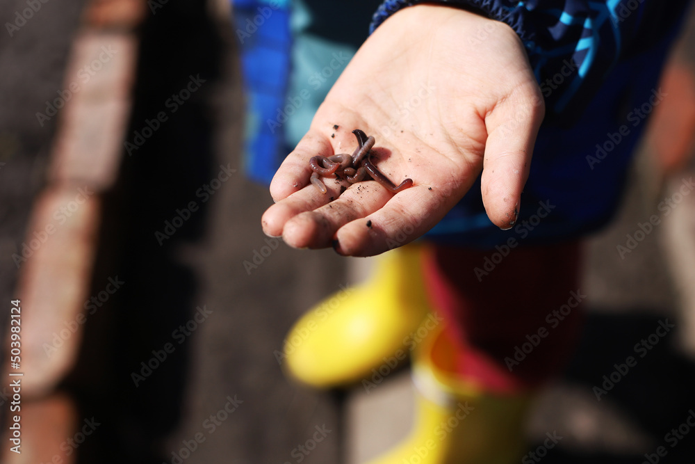 earthworms on the boy's palm.