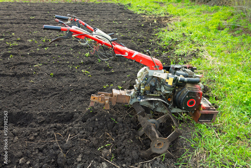 Diesel cultivator with milling cutters makes furrows in the soil for the plantation. Motoblock trolley in the garden. photo