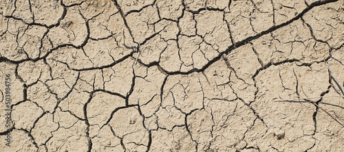 Cracks ground, top view for the background or graphic design with the concept of drought and death. Ecology and well being of ecosystems