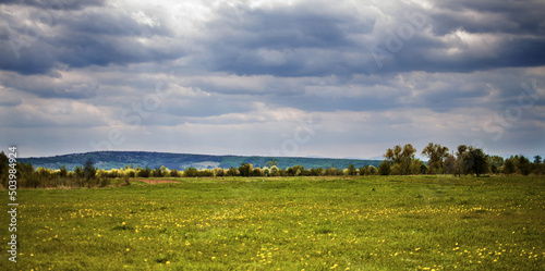 Boundless field with green grass for a good rest