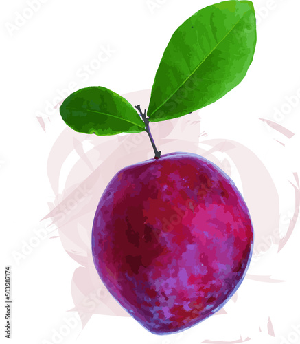 Abstract of Plum fruit with leaf on soft color. (Scientific name Prunus domestica.)